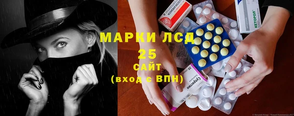 стаф Вяземский
