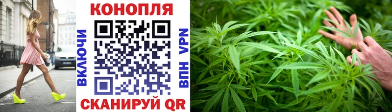 Бошки марихуана AK-47 Заречный